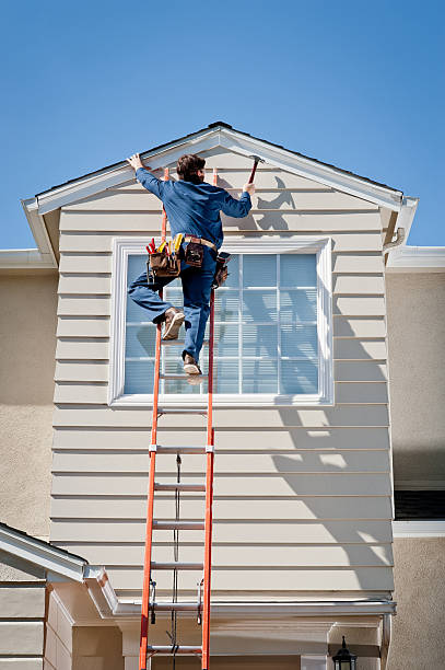 Best Stone Veneer Siding  in USA